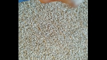 Bbc Stroking And Cumming