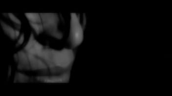 S Of Shannon Elizabeth