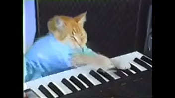 Hot Pussy Action On The Piano