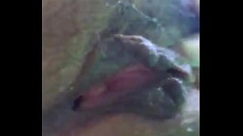 Cholita Pide Verga A Gritos