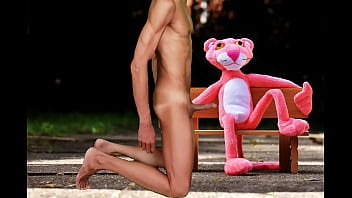 Pink Panther Fun