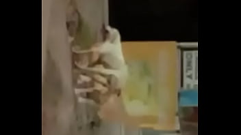 Street Dog Mating And Knotted