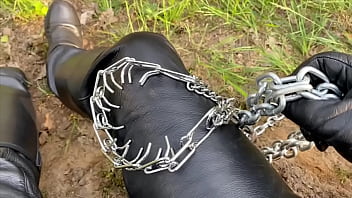 Leckt Oder Das Dornenhalsband Kommt Um Euren Hals