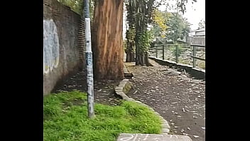 Las Toscas Chillan, Mamon Y Paja - Muñeca Betty - Bebecito Endemoniado