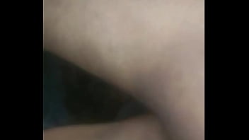 Agumon Y Otros 2