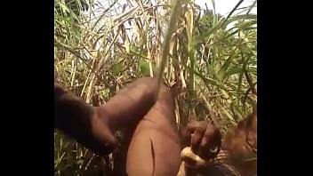 Dildoed In Public Place Again