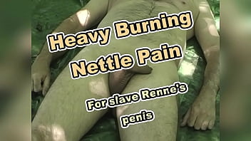 Stinging Nettles In- And Outside Slave Renne' Cock
