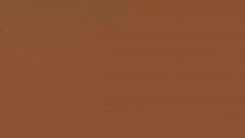 Zuzu Sweet Gets A Great Gift For Her Birthday