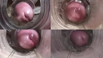 Flashlight Quickie Firework