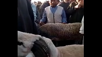 Verification Video - verification-video - Video 2062732