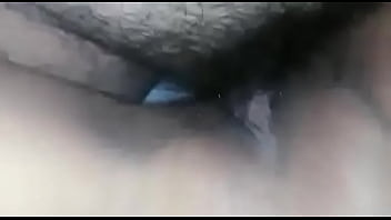 Jarocha, Veracruz - Unknown - 2025 - Incredible - Performance - Video 2084079