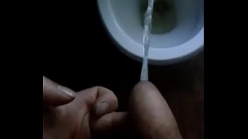 An Ode To _a Long Desperate Piss In The Toilet_