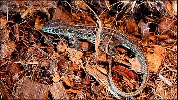 _________ _____________ Y24