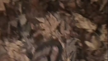 Vixen Vanity Out Walking The Dog