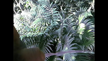 Pissing In Nature - gay, piss, gay-amateur - Video 2075859