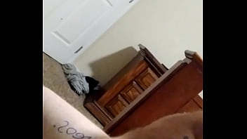 Verification Video - verification-video - Video 2061744