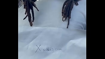 Verification Video - verification-video - Video 2054949