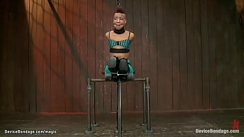 Sleek Panther Ebony Nikki Darling