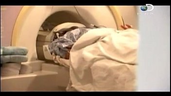 Por Que O Sexo é Divertido Dublado