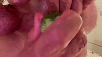 Rosebud With Zucchini