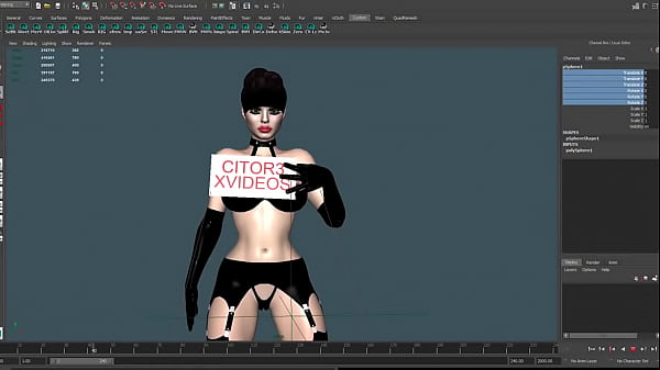 Verification Video - verification-video - Video 2094828