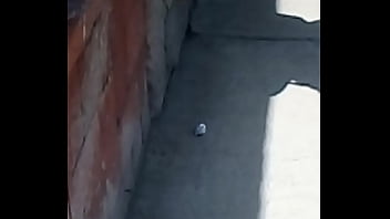 Encoxada, Arrimon - Unknown - 2025 - Passionate - Show - Video 1999866