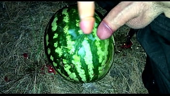 I Found A Watermelon In The Forest And Fucked It With Two Members / Male Orgasm / Russian Dirty Talk / Dildo