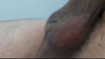 Arxidia Gemata Me Sperma