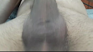 Arxidia Gemata Zesto Sperma