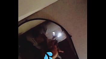 En Perrito Se Siente Todito