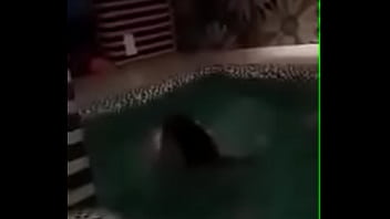 Florijana Pidhi Nga Prishtina Duke I Lar Cicac E Mëdhaja Në Pishinë Të Mbrendëshme* Shiko Në Videon, Vizitoni