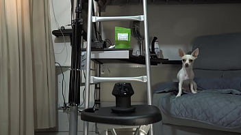 Alexandra Miret Compilacion