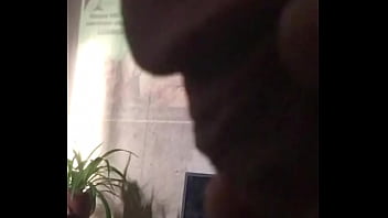 Verification Video - verification-video - Video 1977686