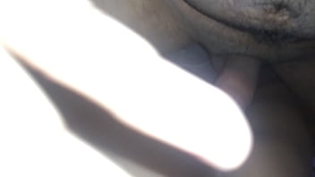 Que Rico Me Tiro A Nalgona