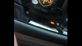 Aussiefox Having Fun