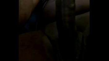 Galo Negro Brincando