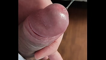 Meu Pau Babão - precum, foreskin, red-head, hard-cock, babao, babando, prepucio, uncut-cock, pica-vermelha, cabeca-v - Video 1943302