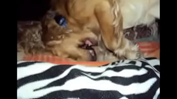 ______________ __________