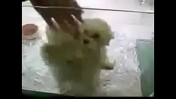 _______________ ________