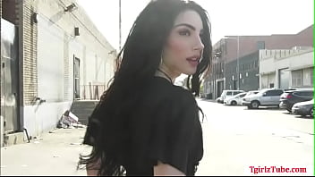 Horny Dude Analed Hot Shemale Hitch Hiker