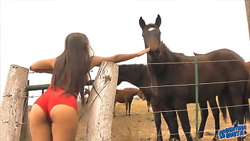 The Hot Lady Horse Whisperer - Amazing Body Latina! 10 Ass!