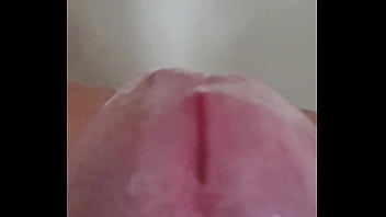 Vídeo De Verificación - verification-video - Video 2005641