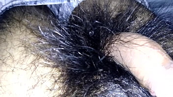 Pelos En La Zona Intima