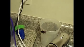 Cumshot, Sucking, Amateur, Dick - Cumshot - 2025 - Hot - Show - Video 6566978