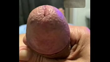 Papai E Novinho Se Divertem Na Chamada De Vídeo