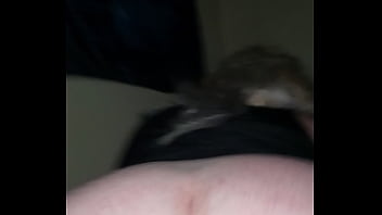 Verification Video - verification-video - Video 1986364