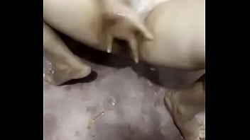 Hot Pakistani Wife Sex At Home Desi Maal