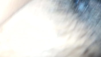 Vídeo De Verificación - verification-video - Video 1978805