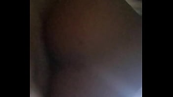 Mi Perrita Da Sentadas Profesional