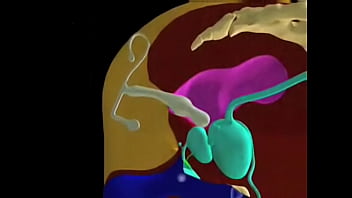 Blonde, Blowjob, Fingering - Blonde - 2025 - Wild - Performance - Video 6501666